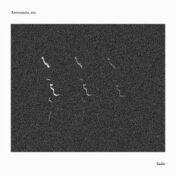 Astronauts Etc, 'Sadie'