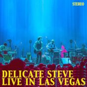 Delicate Steve, 'Live In Las Vegas'