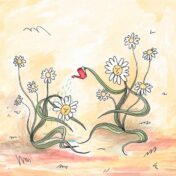 Victoria Canal - "Chamomile"